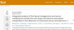 GUT发表国家癌症中心血清代谢组肠
